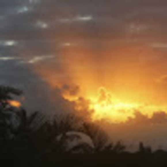 Meet your Posher, Becca - Picture 1 of 1